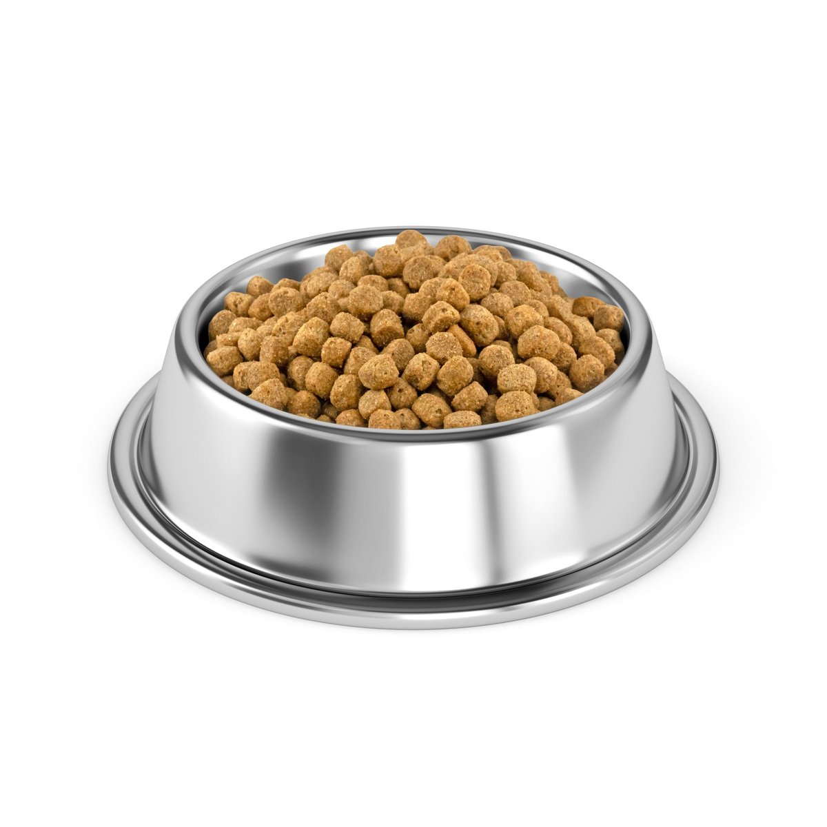 A stainless steel bowl filled with dry pet food on a white background