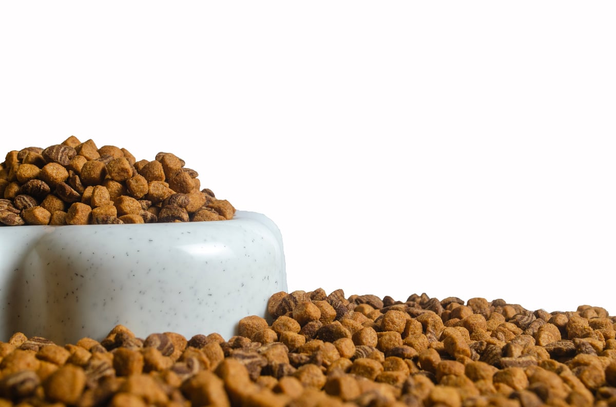 High-angle studio shot of crunchy dry dog food kibble filling a modern white speckled pet bowl