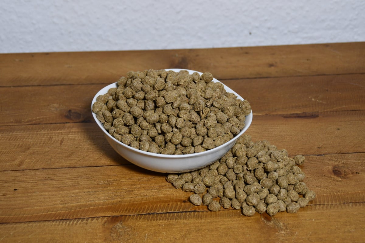 White bowl filled with tan pet kibble on wooden floor with some kibble scattered beside it
