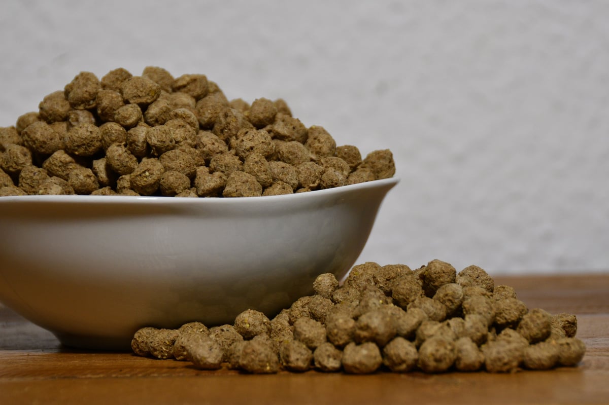 Bowl of dry pet food kibble with scattered pieces on wooden surface against white background